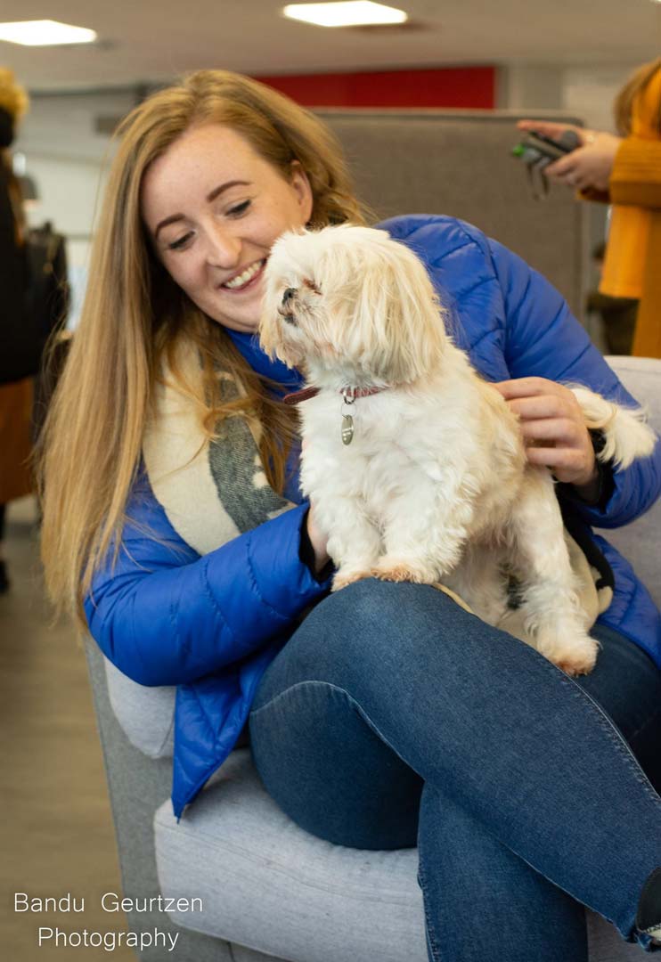 A student sat on a sofa with a white dog in their lap